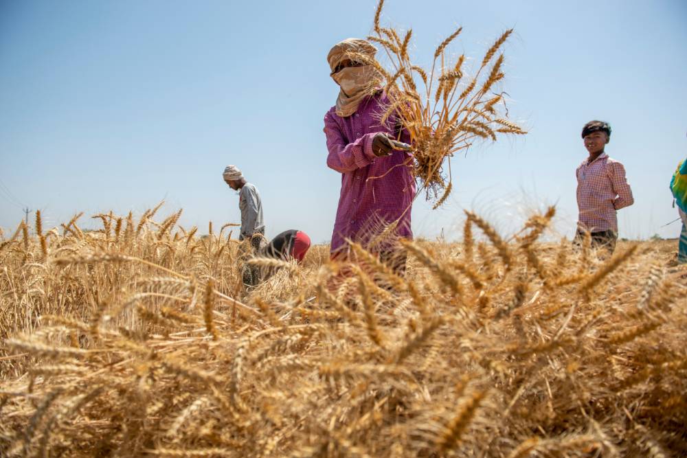 يتوقع هطول أمطار في معظم أنحاء الهند خلال الأيام المقبلة.