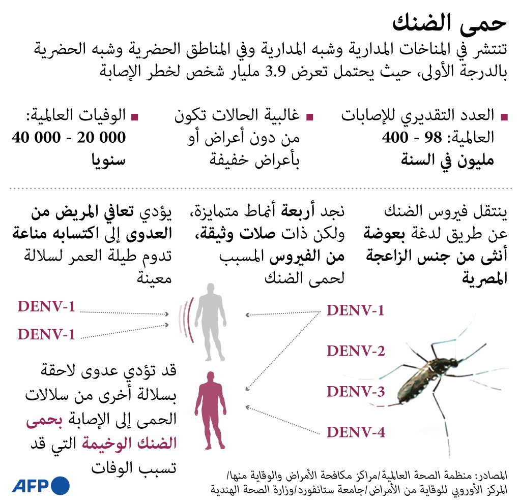3.9 مليار شخص في العالم معرضون للإصابة بحمى الضنك 