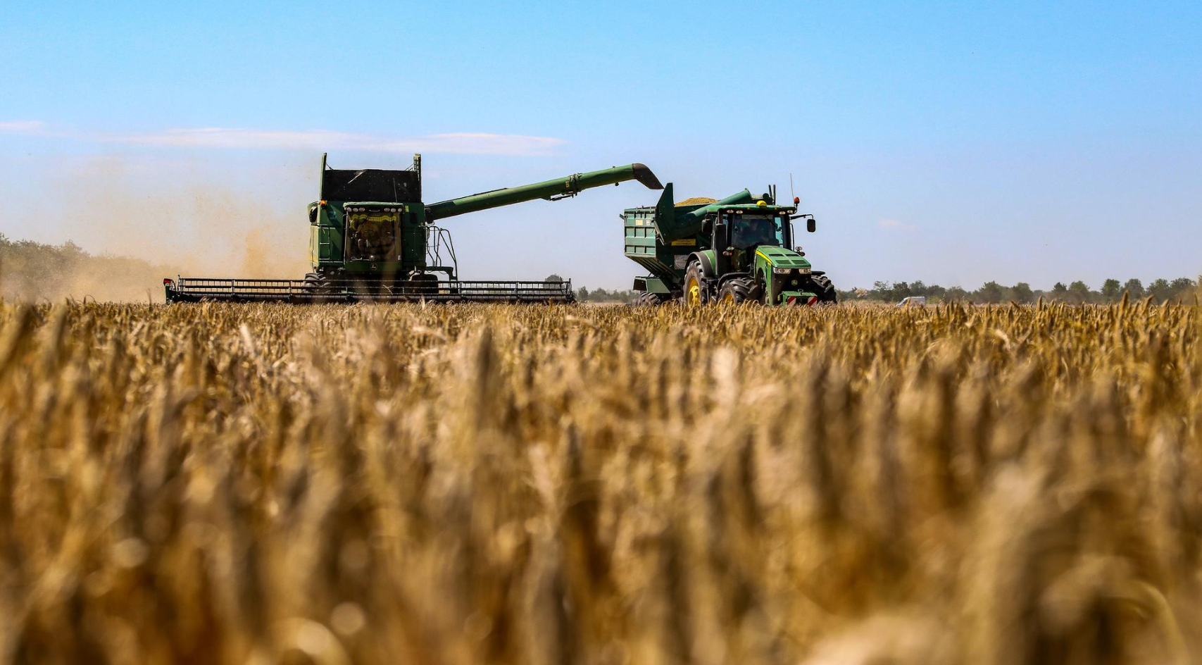 يسمح الاتفاق لكل من روسيا أوكرانيا بتصدير إنتاجهما من القمح والذرة