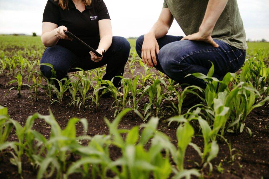 الميكروبات في الزراعة.. ثروة غير مرئية