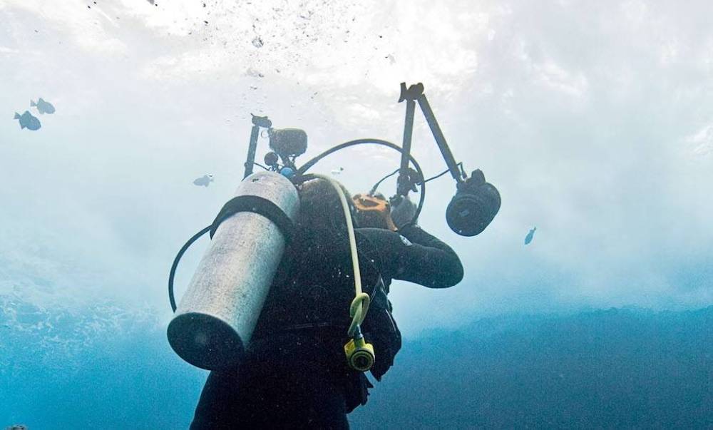 ليس متاحا في الأسواق المنتجات المتأتية من موارد جينية بحرية.