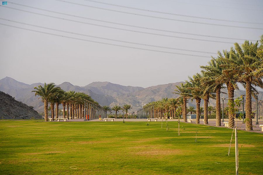 أمانة العاصمة المقدسة تتيح تحويل الصكوك الزراعية إلى سكنية