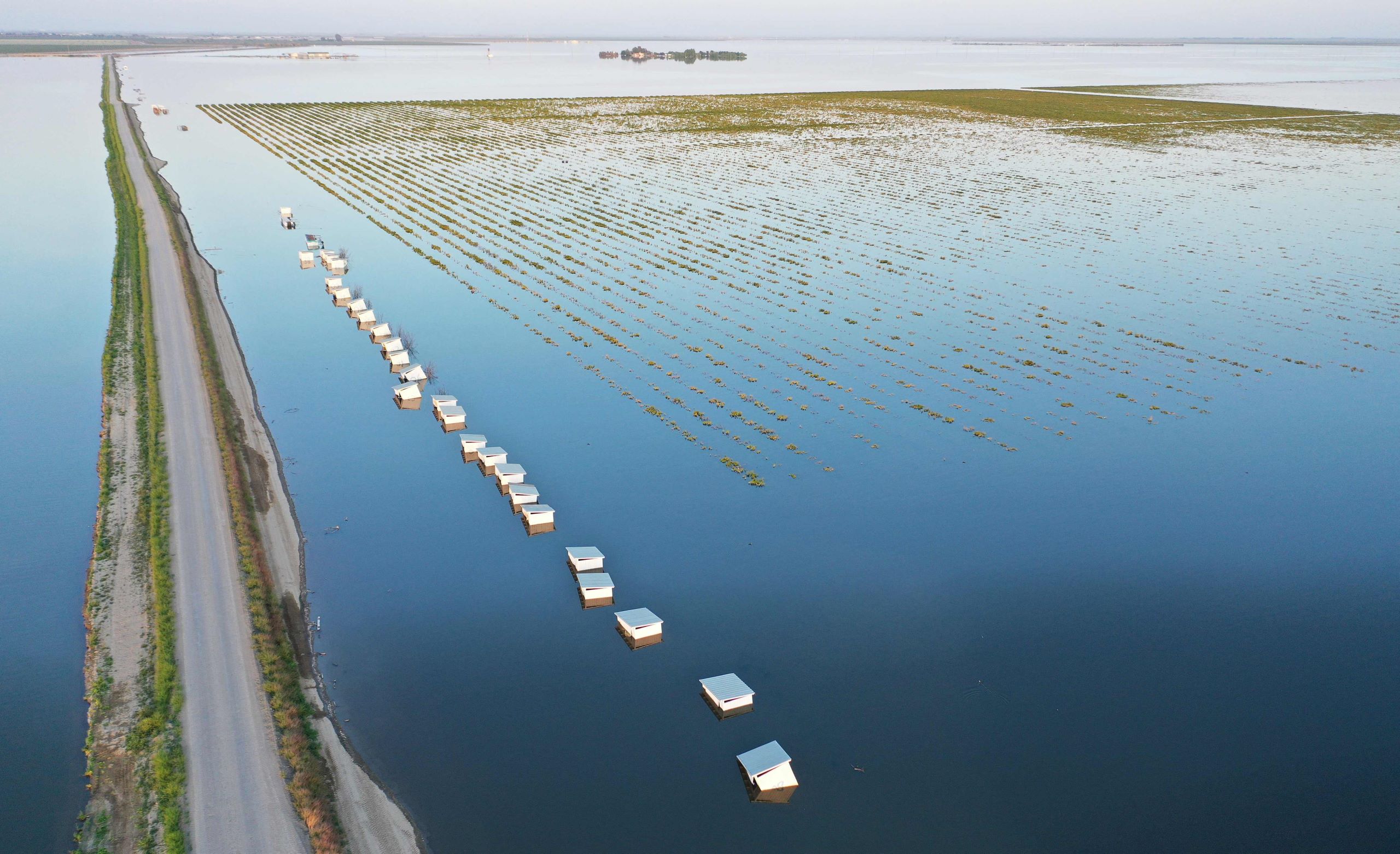 فيضانات كاليفورنيا تغرق مزارع الفستق .. وخسائر بالمليارات