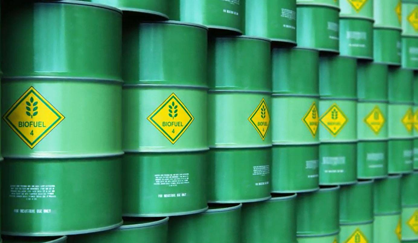 عواقب غير مقصودة للوقود الحيوي .. «الذهب السائل» تهديد جديد على سوق الغذاء
