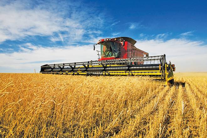 السعودية ترفع الطاقة التخزينية للحبوب إلى 3.5 مليون طن .. مستهدفات الأمن الغذائي تتحقق