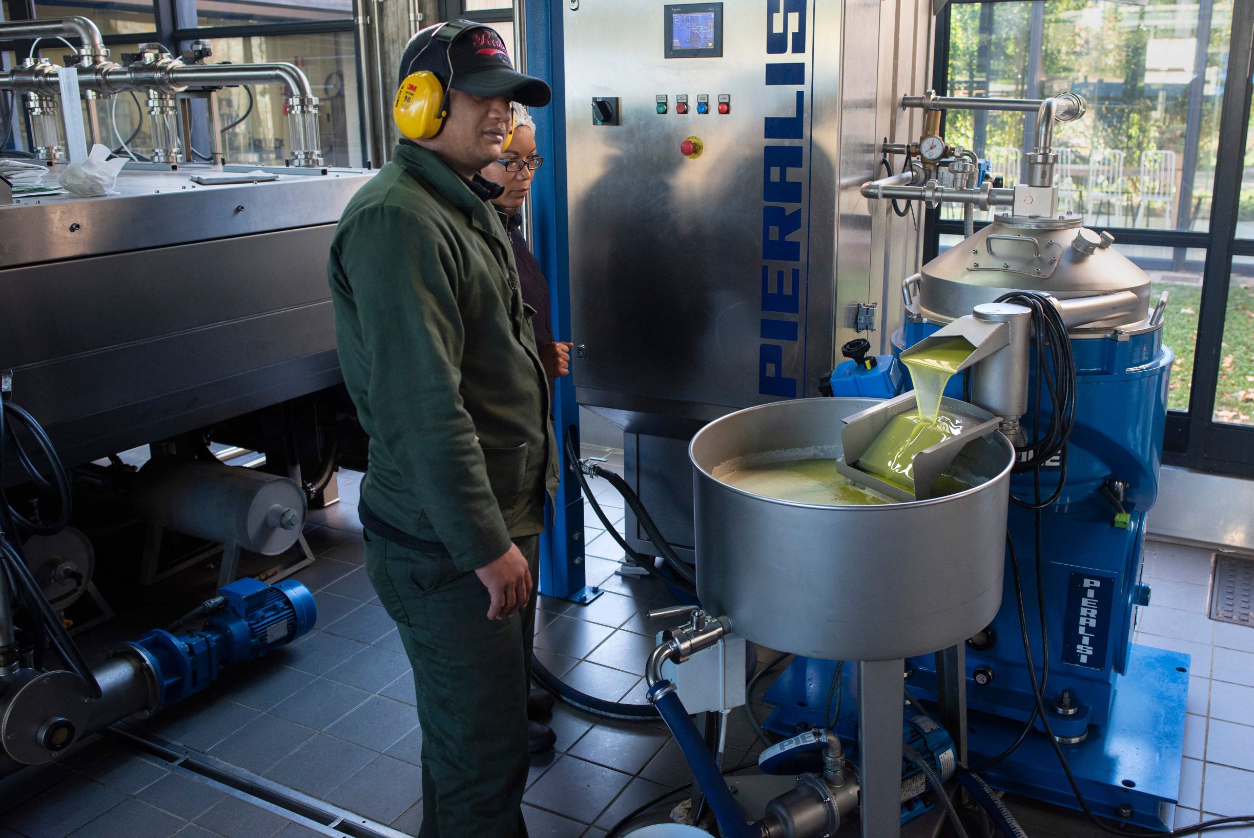 جنوب إفريقيا تحجز مكانة لها في مجال إنتاج زيت الزيتون الفاخر في العالم