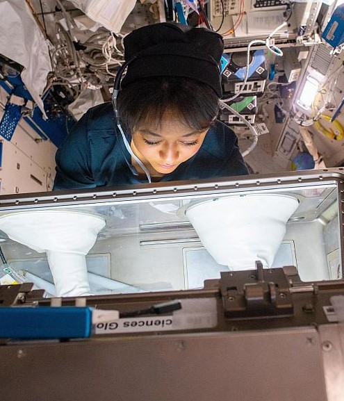 رائدا الفضاء السعوديان ريانة برناوي وعلي القرني يشرعان في مهمتهما العلمية بمحطة الفضاء الدولية