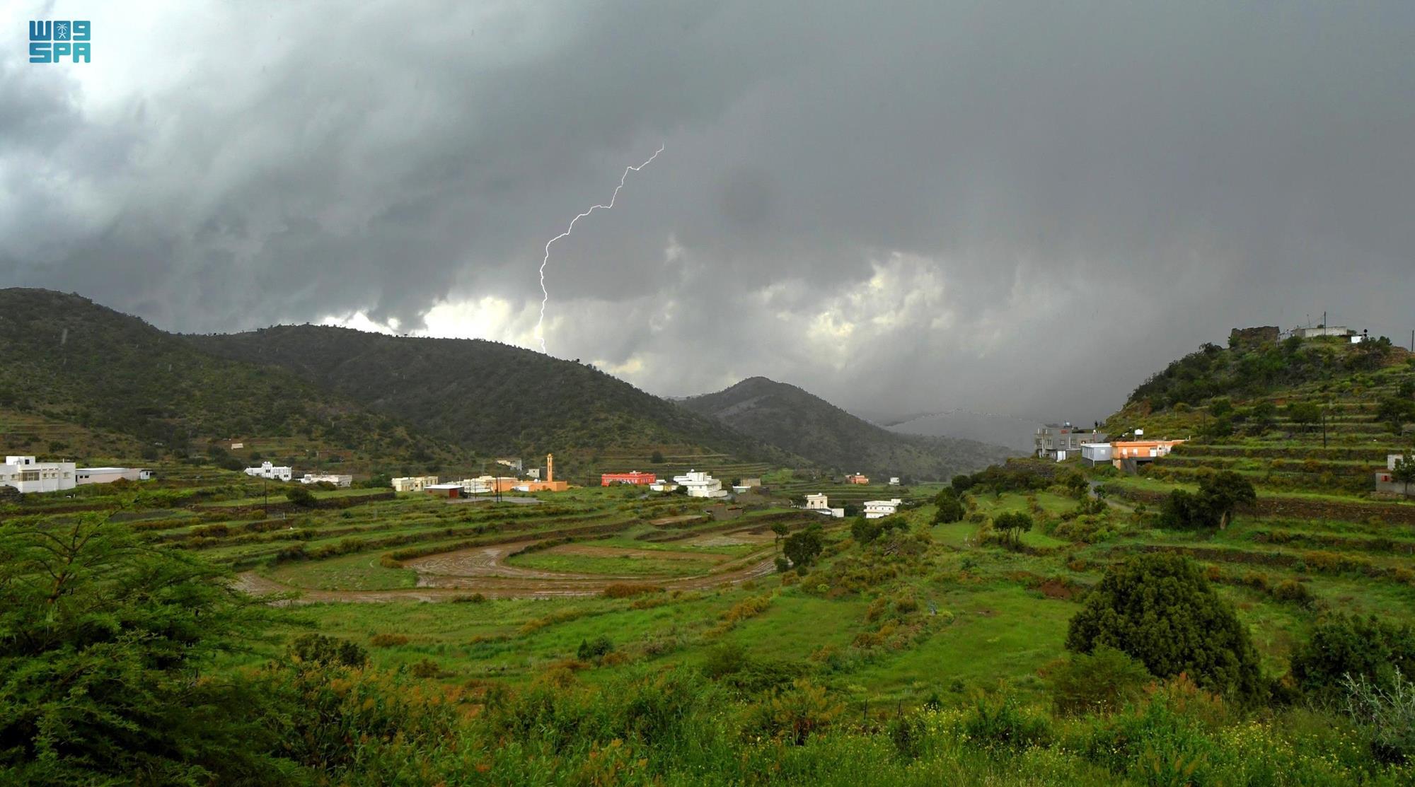 عسير .. الأولى على مستوى السعودية في مساحات الغطاء النباتي