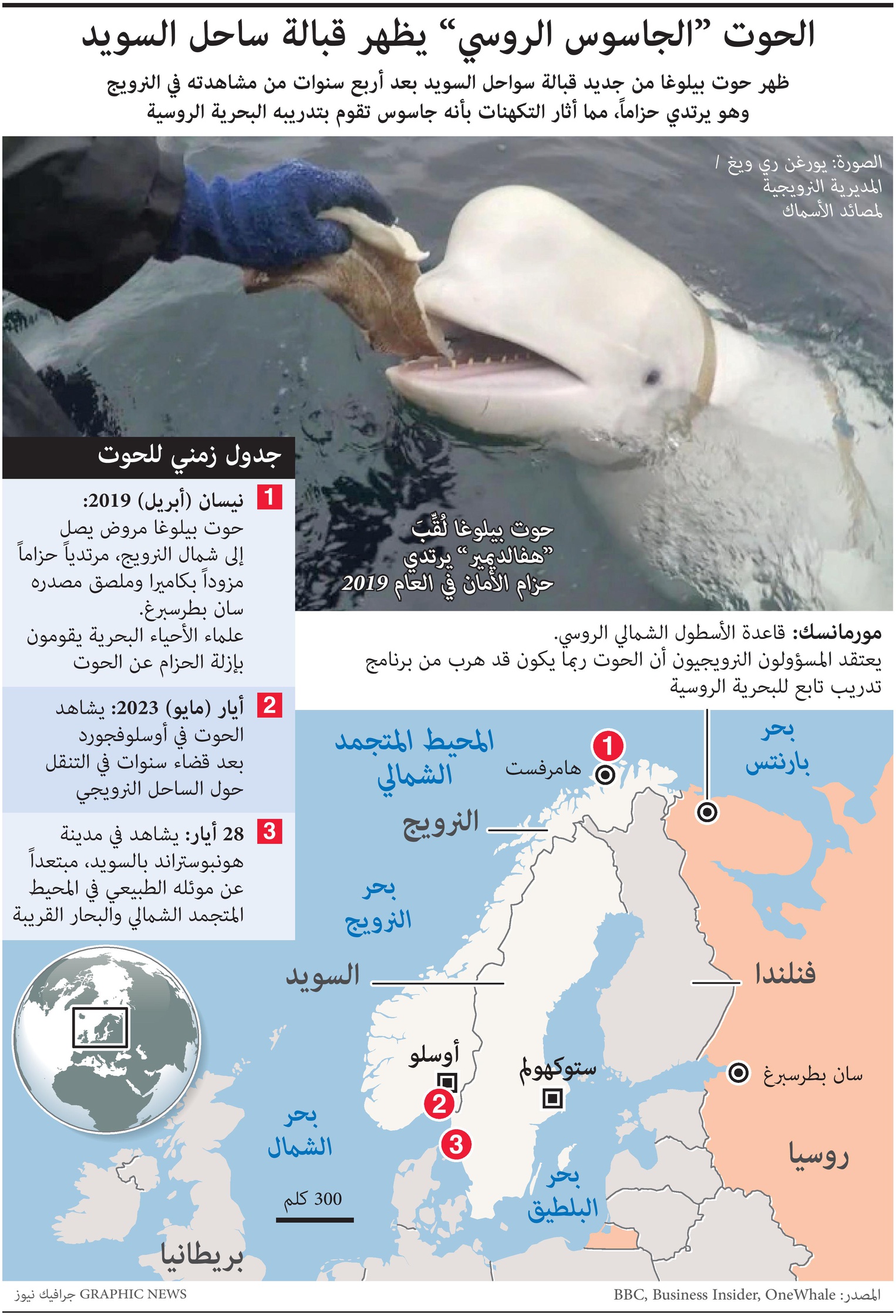 حوت روسي مزود بكاميرات يتجسس على النرويج والسويد