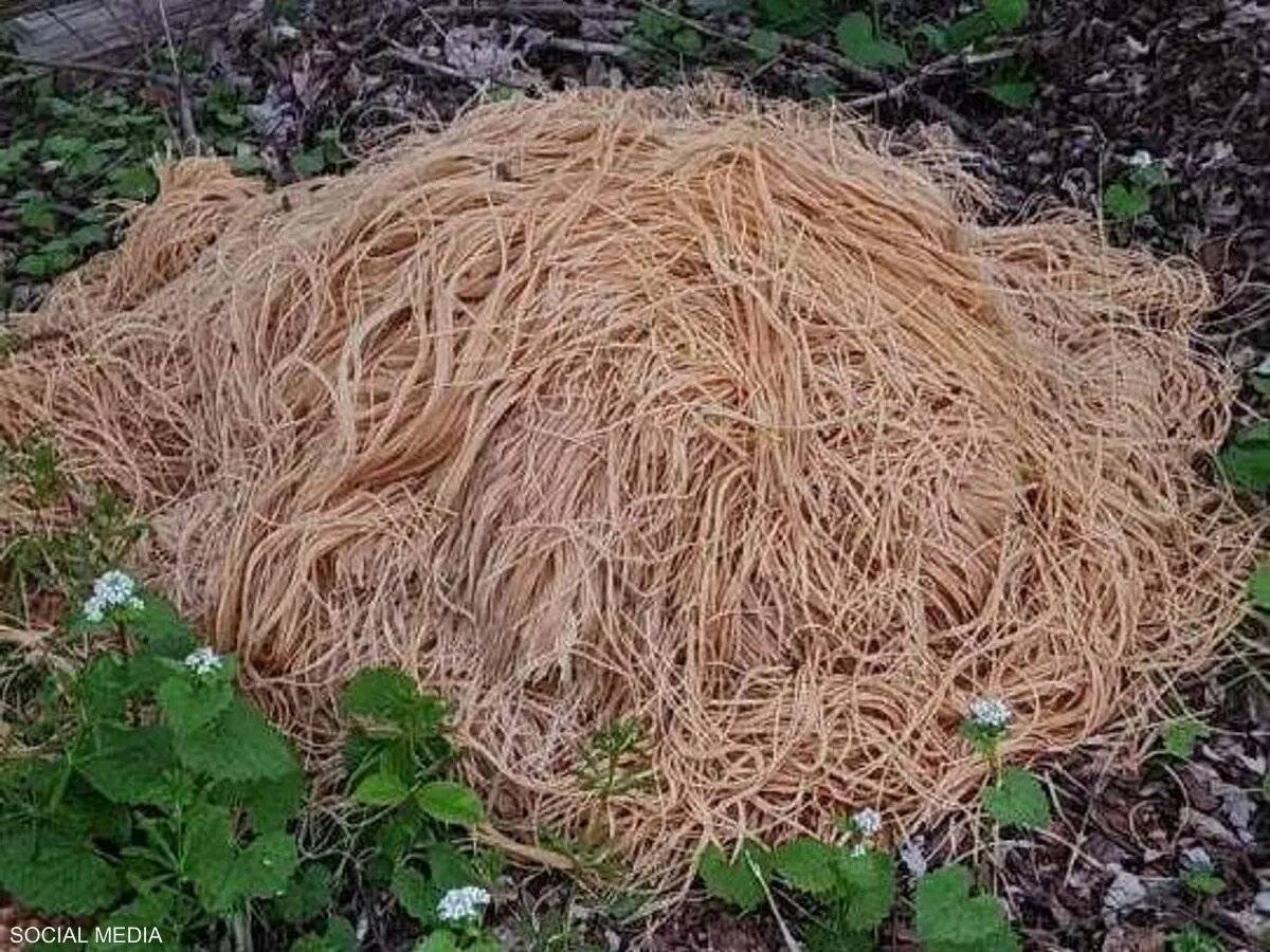 بعد موافقة برنامج تطوير القطاع المالي .. إطلاق منتج للاستثمار في صناديق الدين الجريء