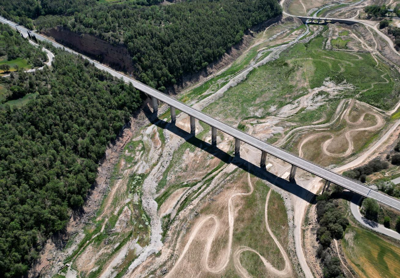 إسبانيا: مخاوف من سنة سوداء جديدة لمزارعي الزيتون بسبب الجفاف