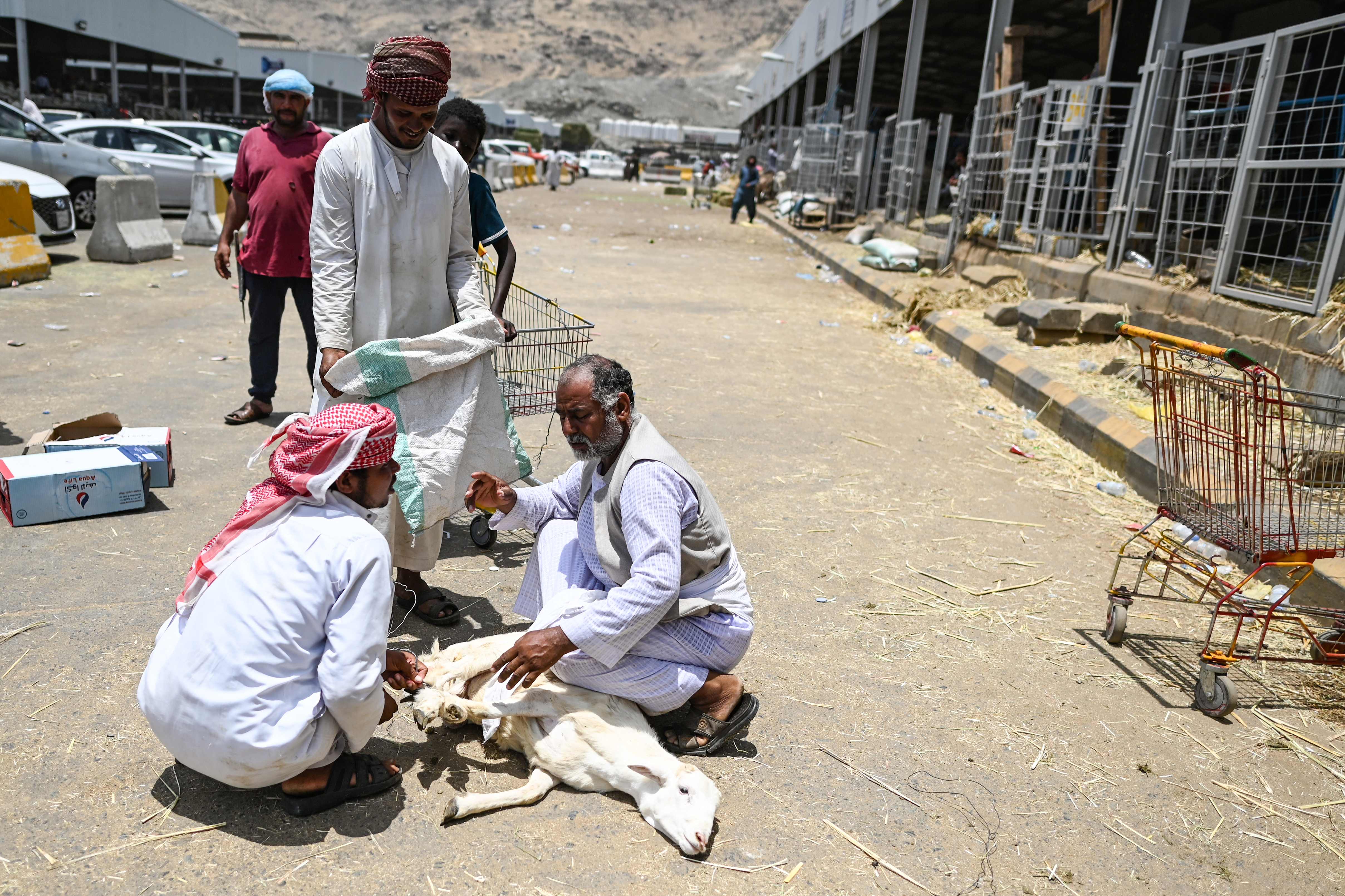 استعدادات عيد الأضحى حول العالم