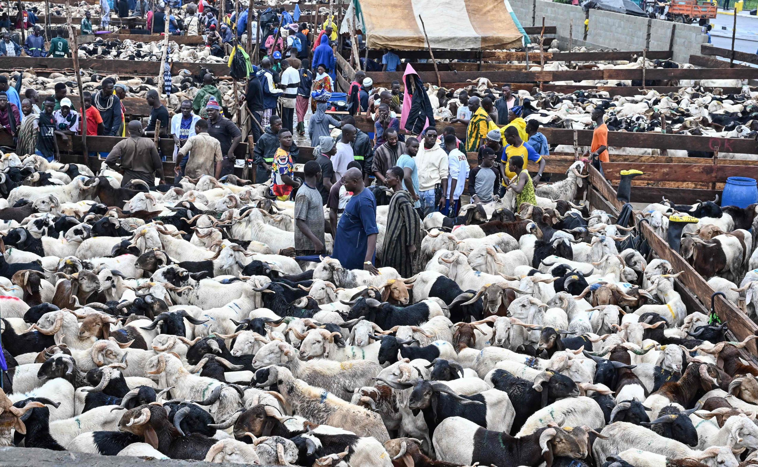 استعدادات عيد الأضحى حول العالم