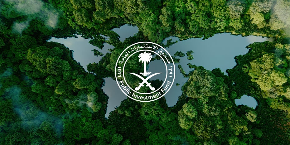 عقد أكبر مزاد عالمي لتداول أرصدة الكربون .. مليونا طن معروضة في المزاد