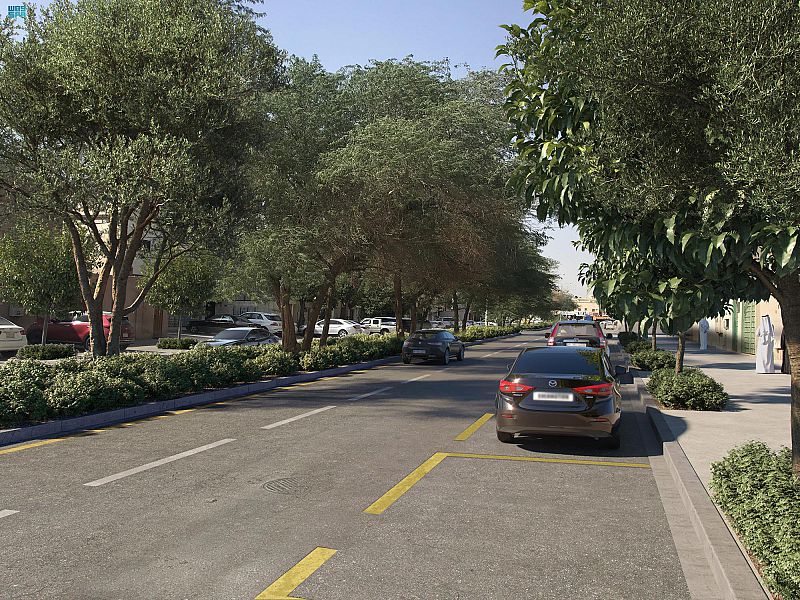 "الرياض الخضراء" يستهدف "حي قرطبة " بزراعة 92 ألف شجرة