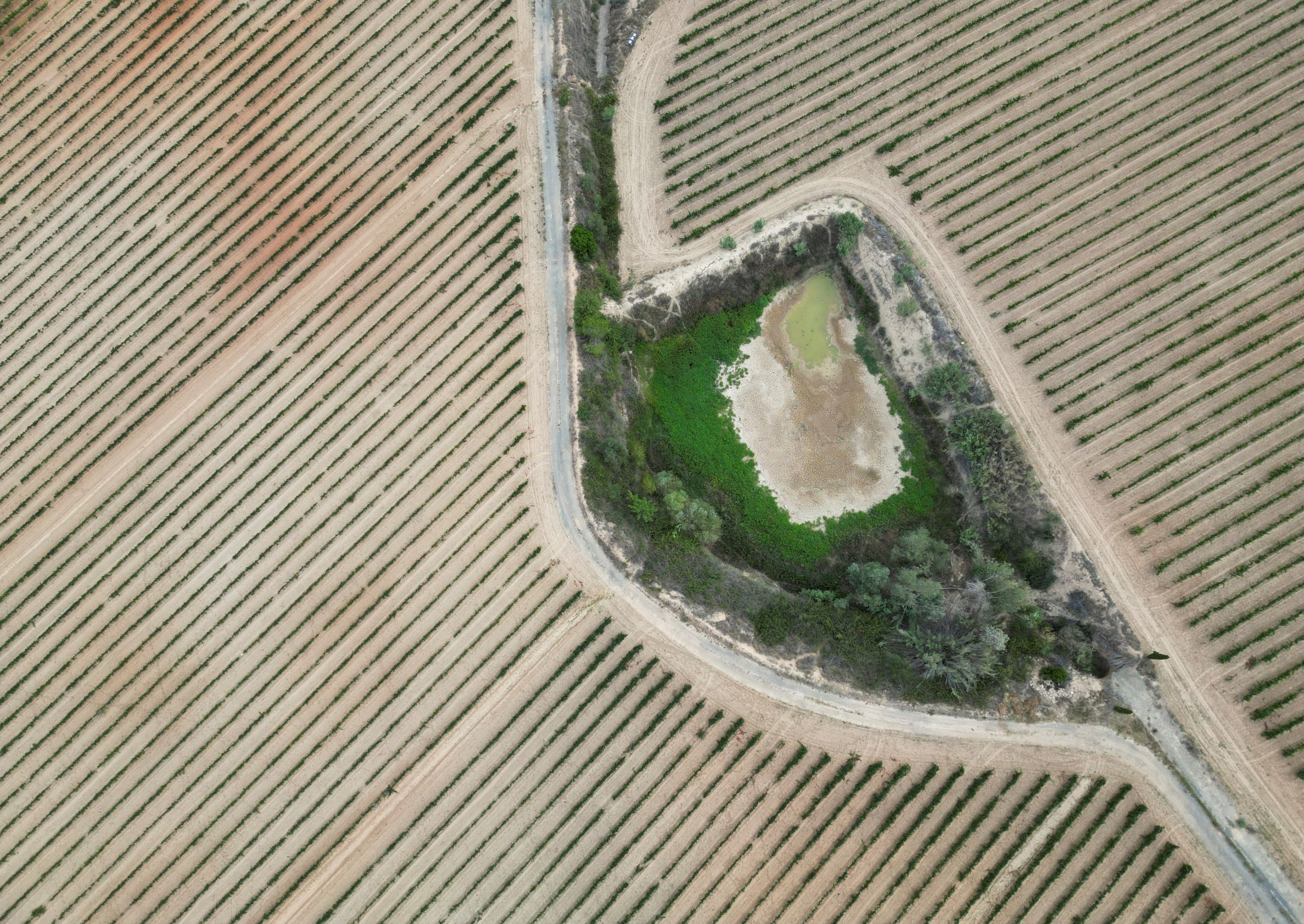 التصحر يحول بستان الخضراوات في أوروبا لأرض قاحلة لا تصلح للزراعة