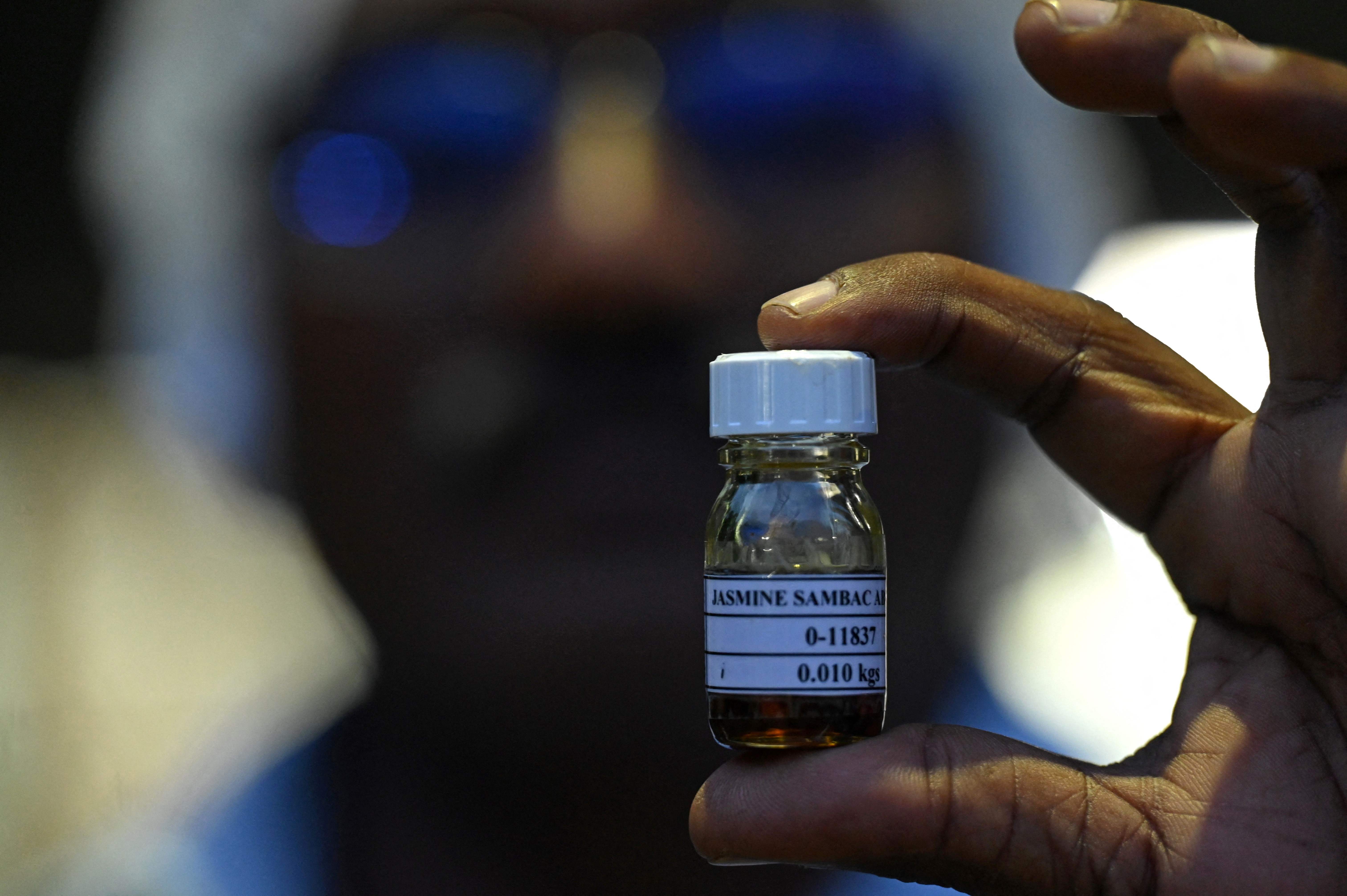 ياسمين مادوراي .. مكون ثمين لصانعي العطور في العالم