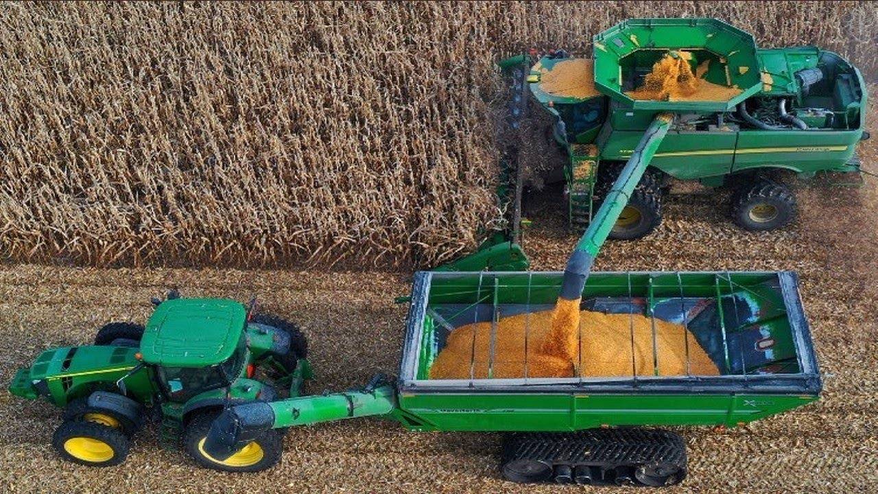 «هيئة المهندسين»: 1163 مهندسة سعودية في 2021 .. و1721 شركة ومكتبا جديدا