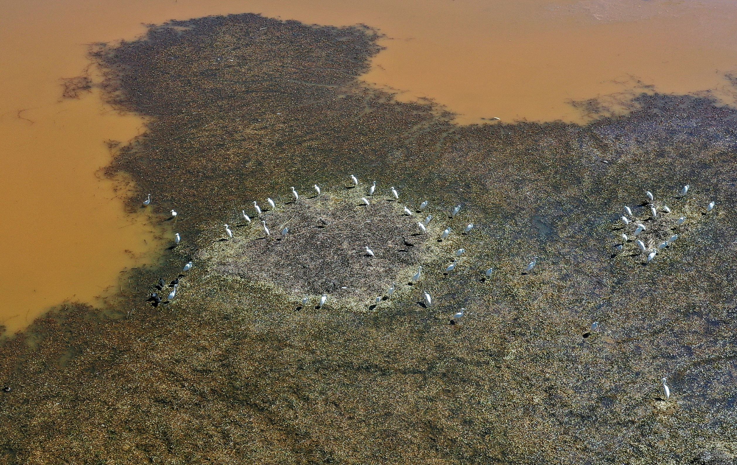 رغم تغير المناخ .. محمية عميق في لبنان تحافظ على طبيعتها