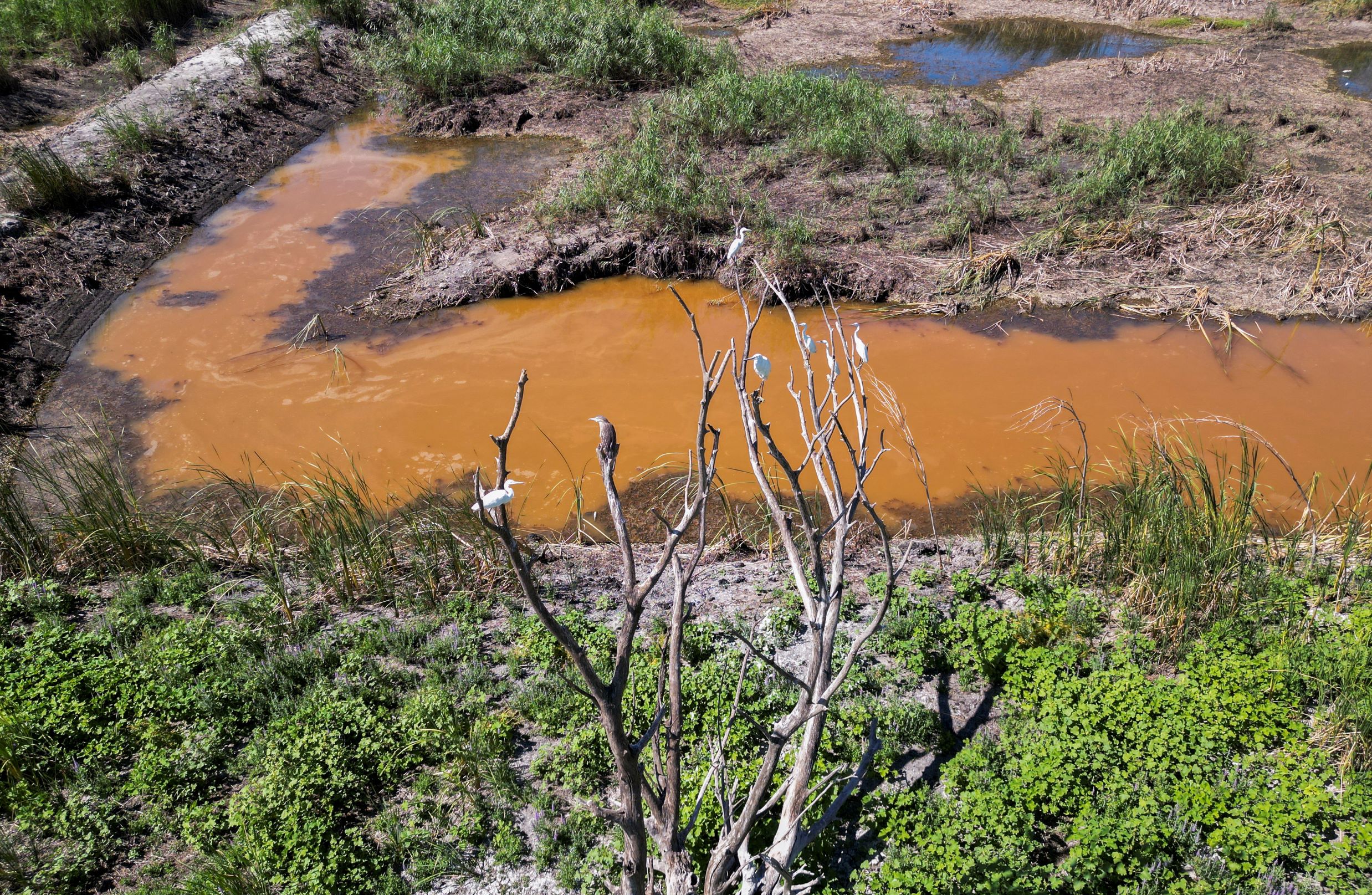 رغم تغير المناخ .. محمية عميق في لبنان تحافظ على طبيعتها