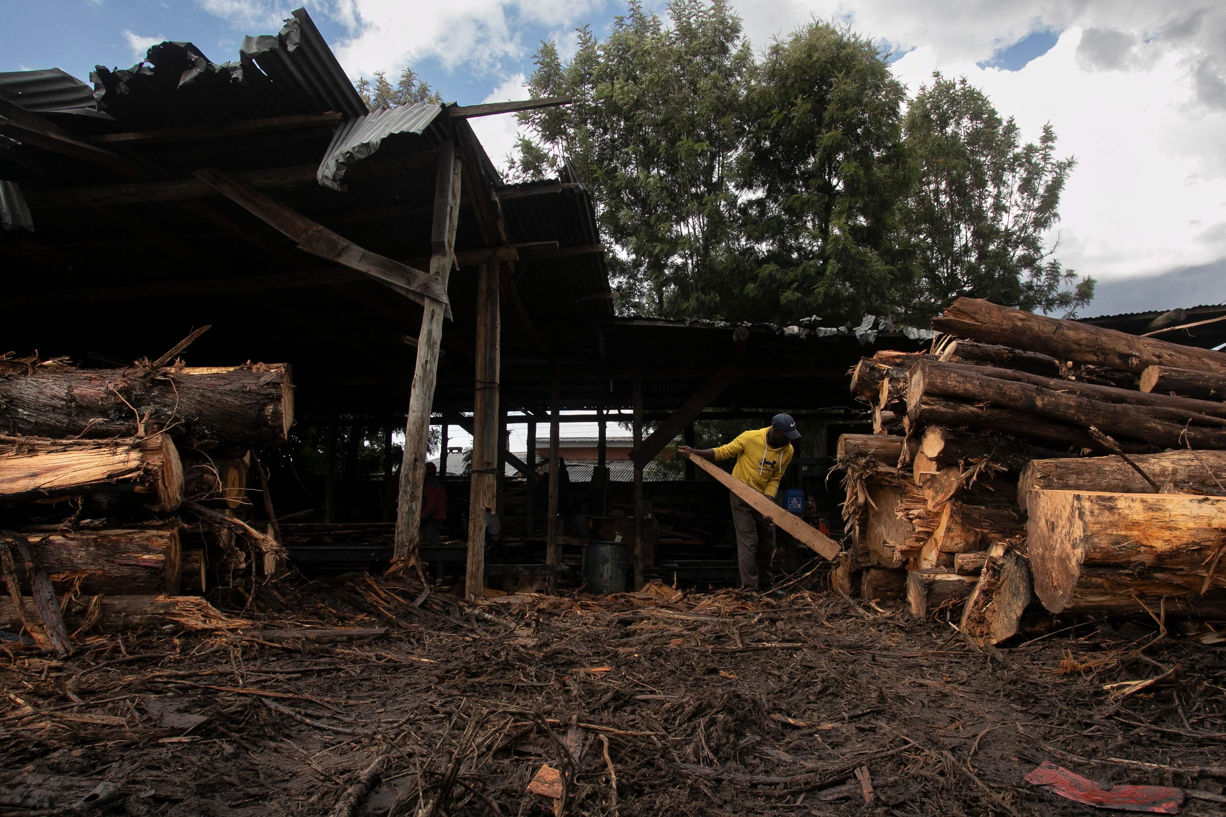 إلغاء حظر قطع الأشجار يقسم كينيا
