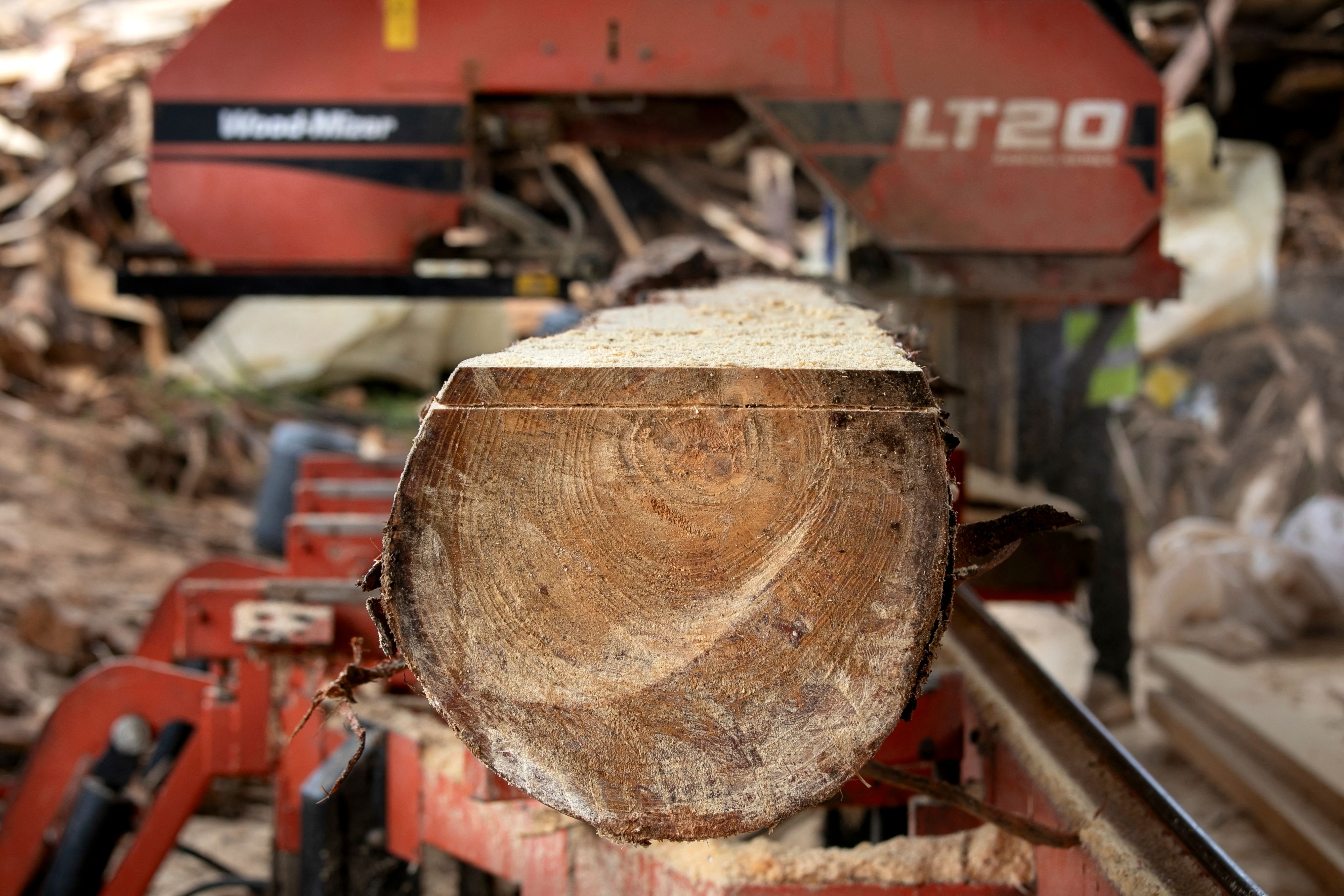 إلغاء حظر قطع الأشجار يقسم كينيا