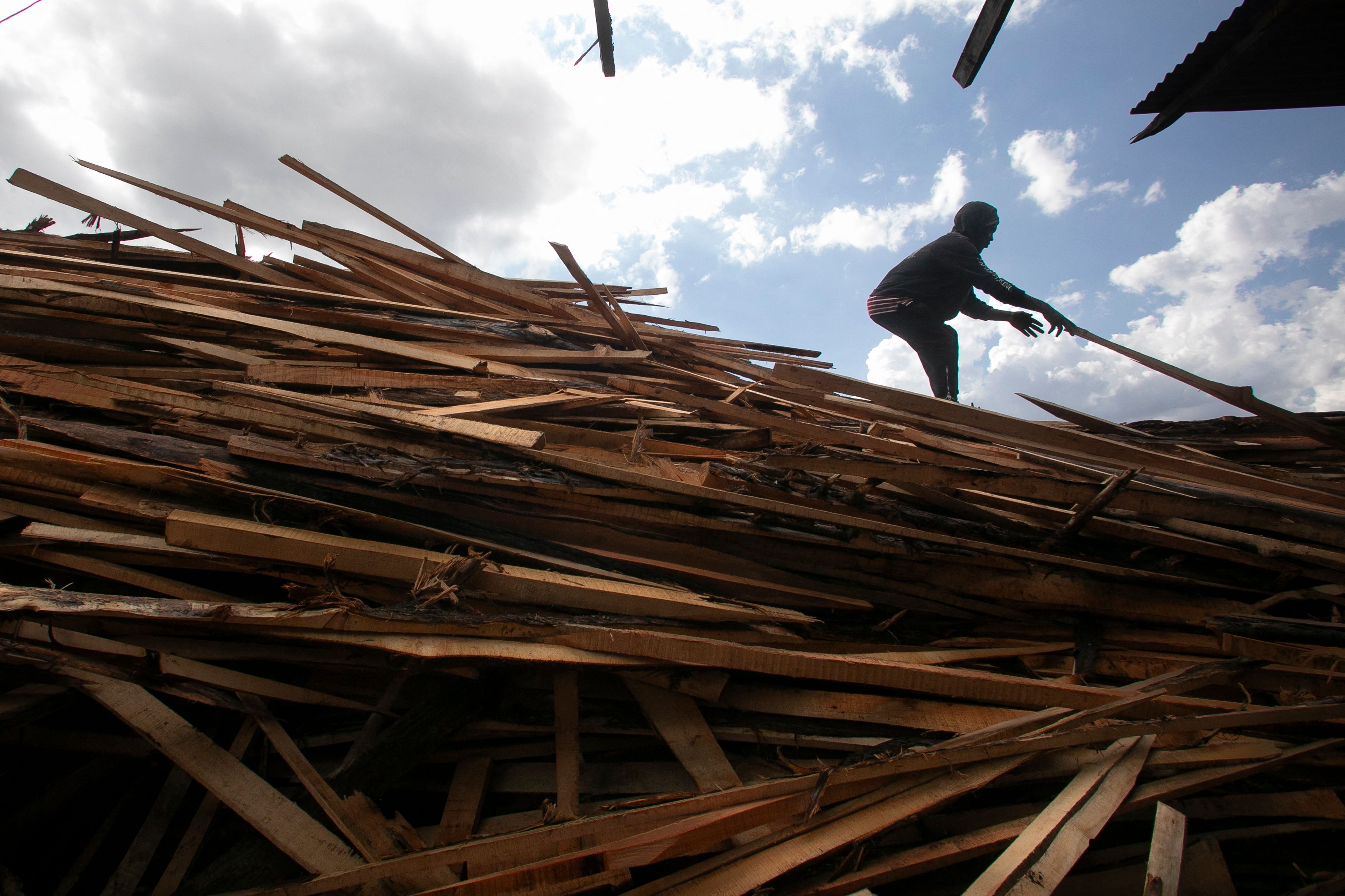 إلغاء حظر قطع الأشجار يقسم كينيا
