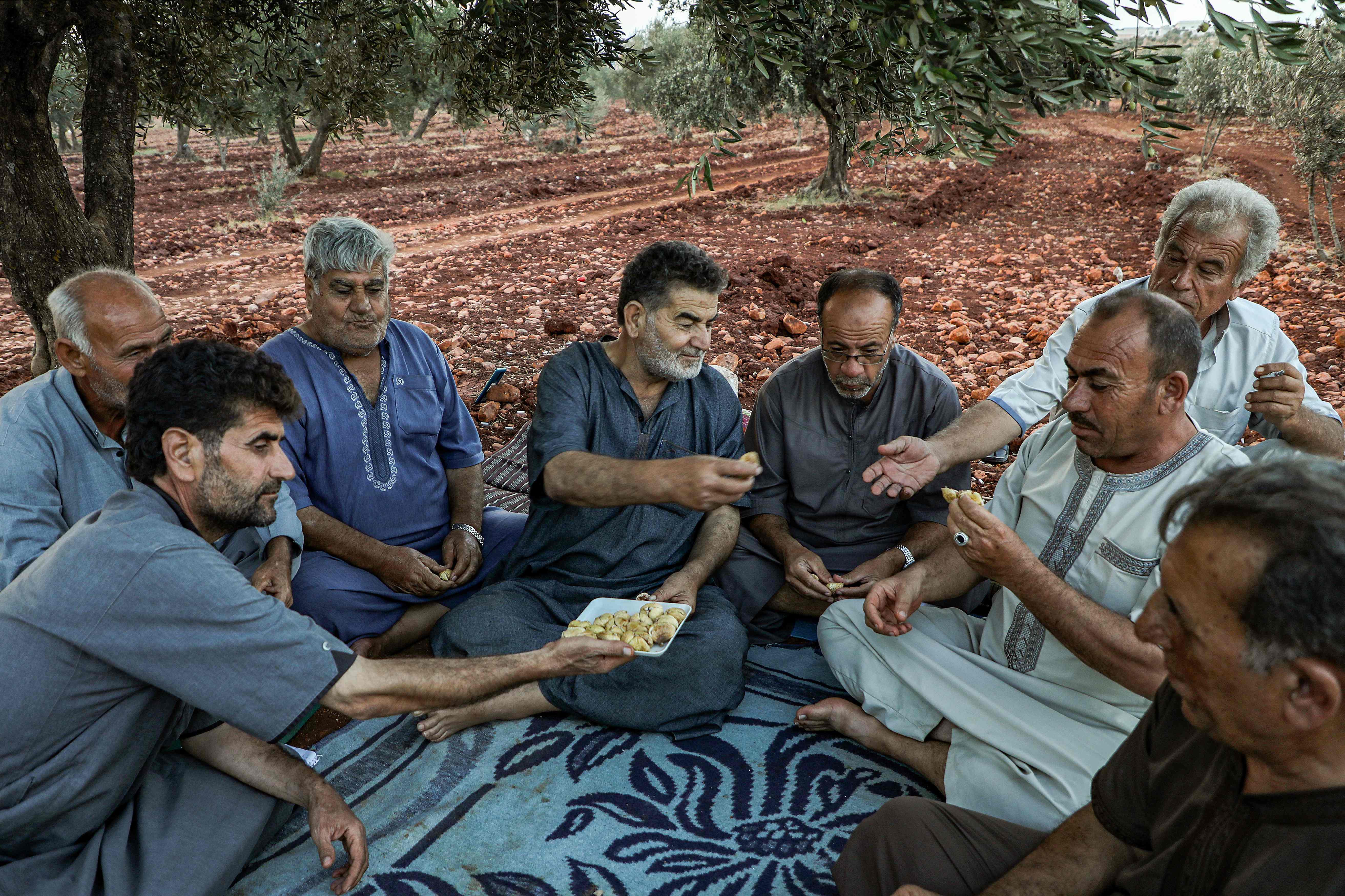 أرض سورية سلة غذاء لا تنضب