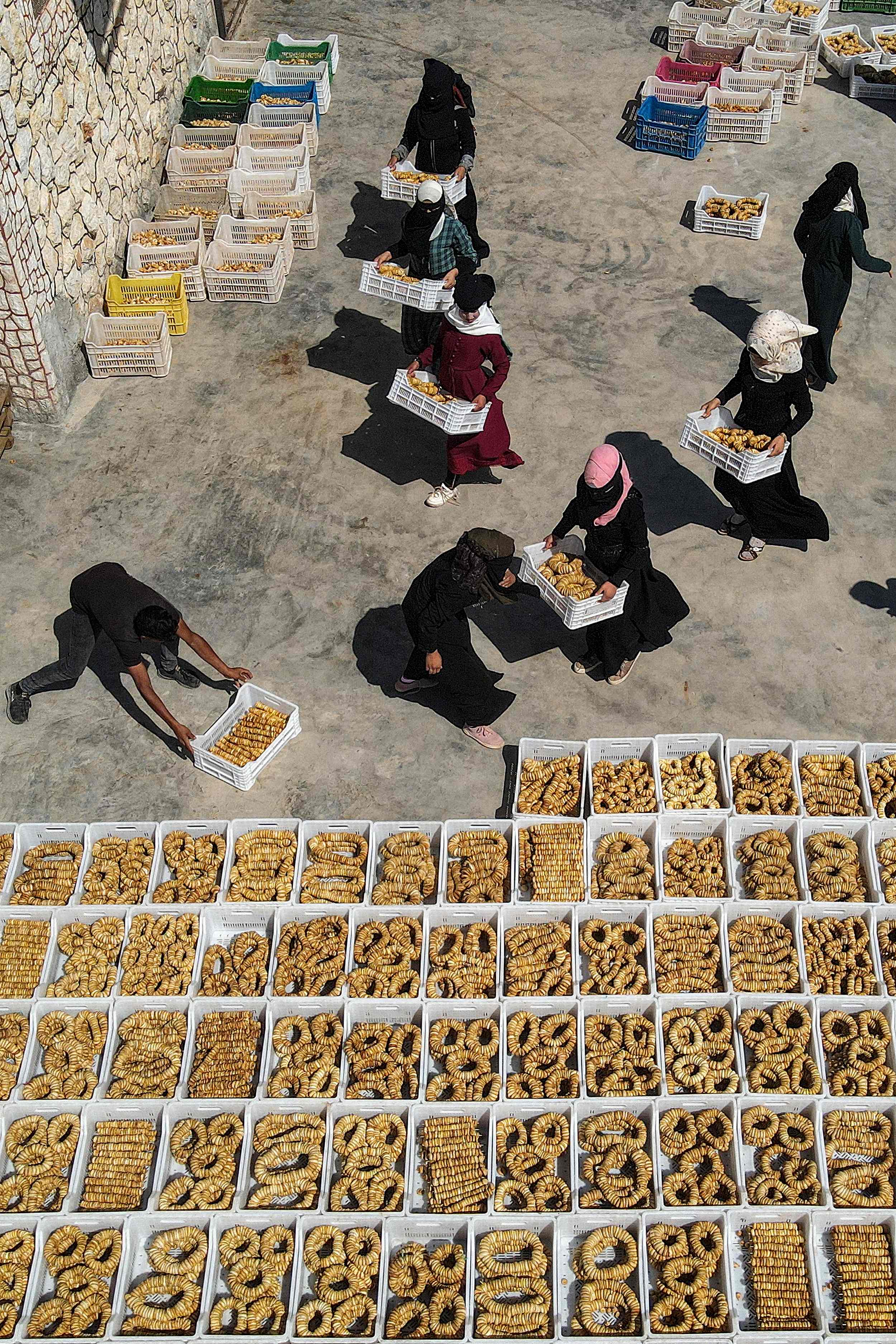 أرض سورية سلة غذاء لا تنضب