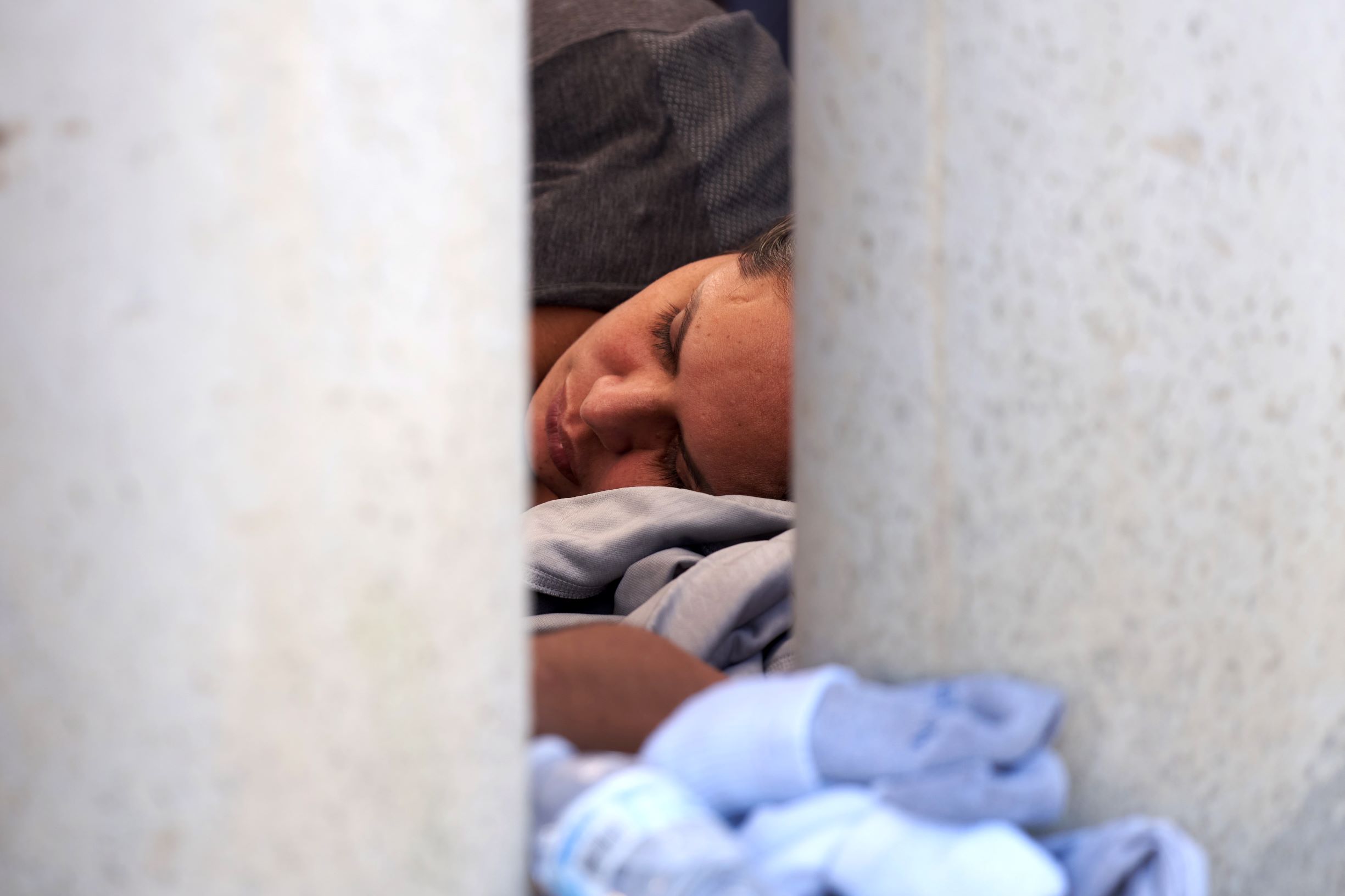 البحث عن طعام عبر السياج