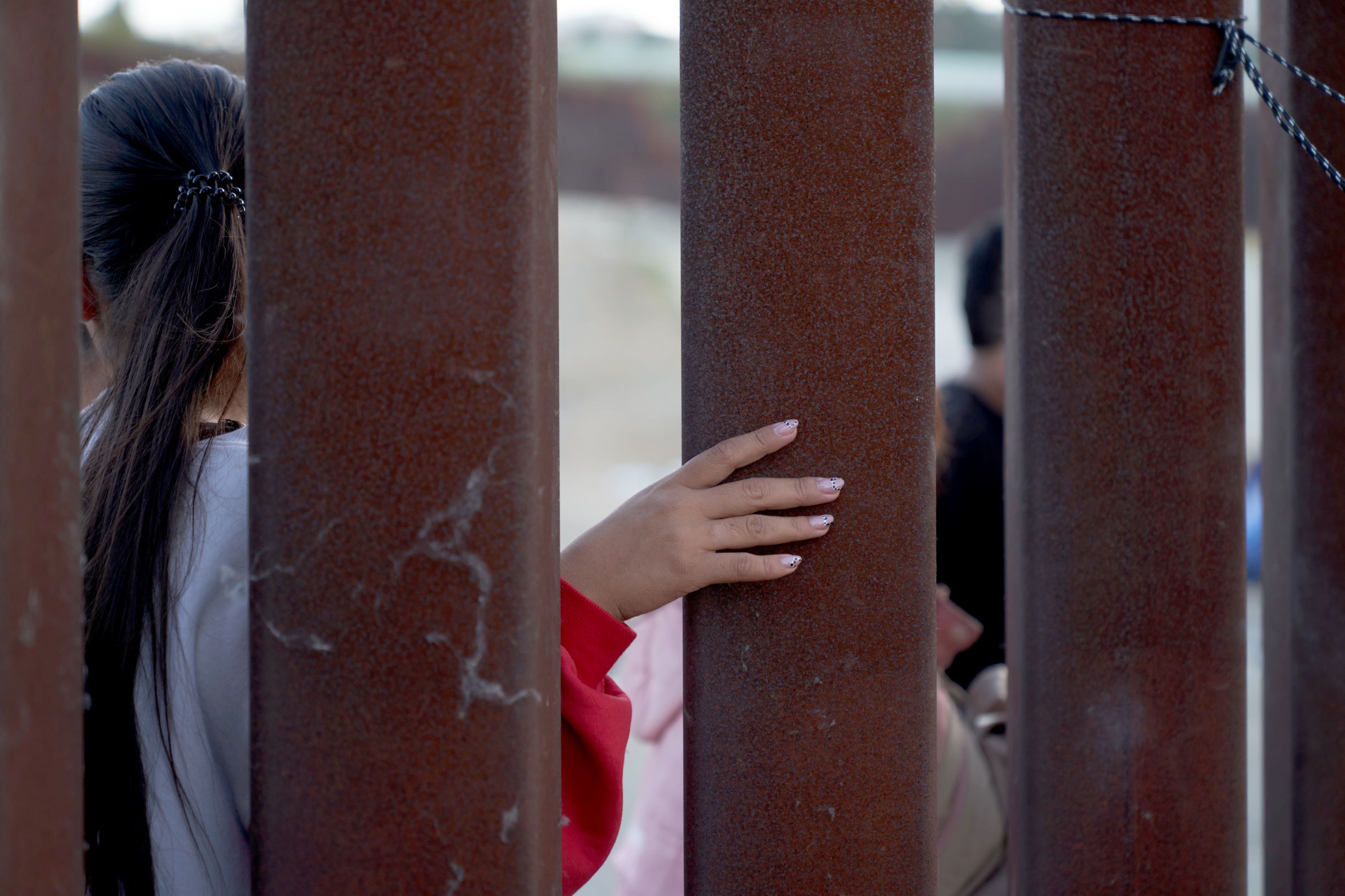 البحث عن طعام عبر السياج