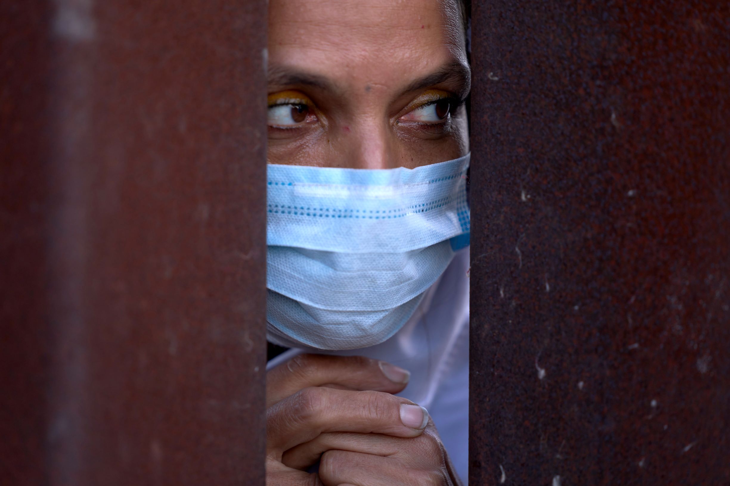 البحث عن طعام عبر السياج