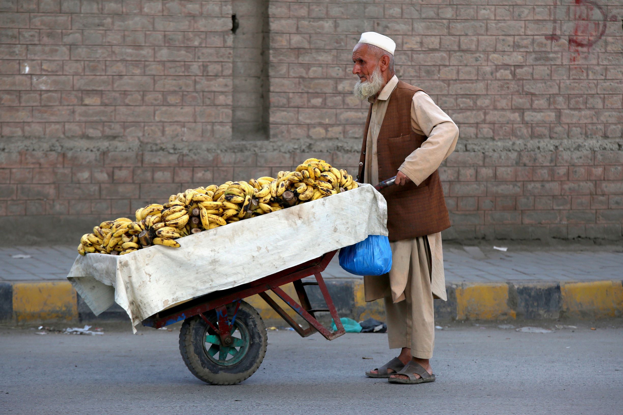 في يومهم العالمي .. كبار السن لا يتوقفون عن العمل