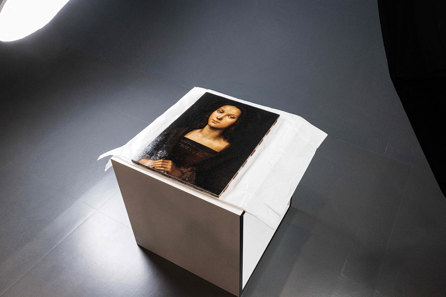 هواة عبر الإنترنت يشترون تحفة فنية لرسام عصر النهضة رفائيل