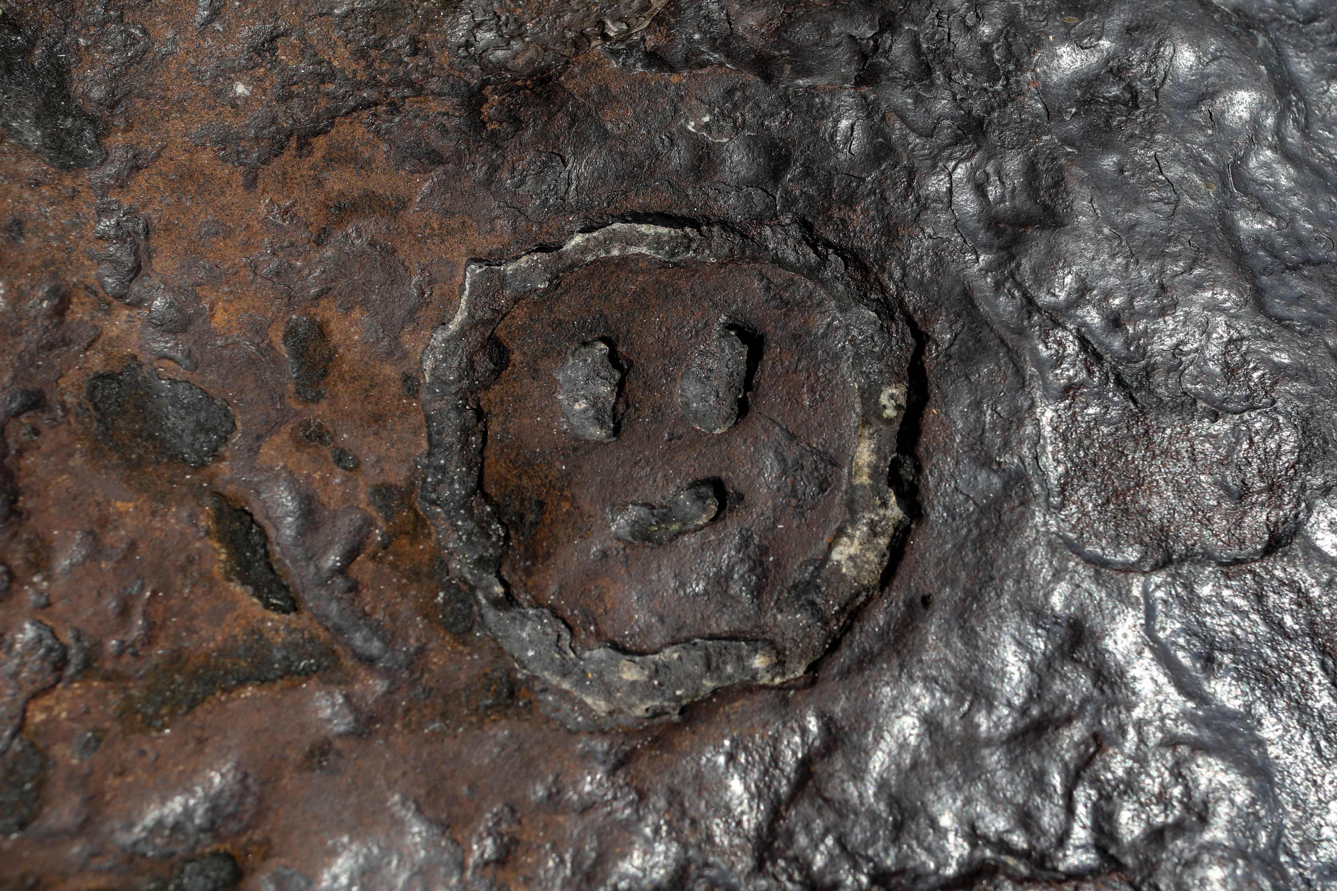 جفاف أمازون يكشف نقوشا قديمة يعود تاريخها إلى 2000 عام 