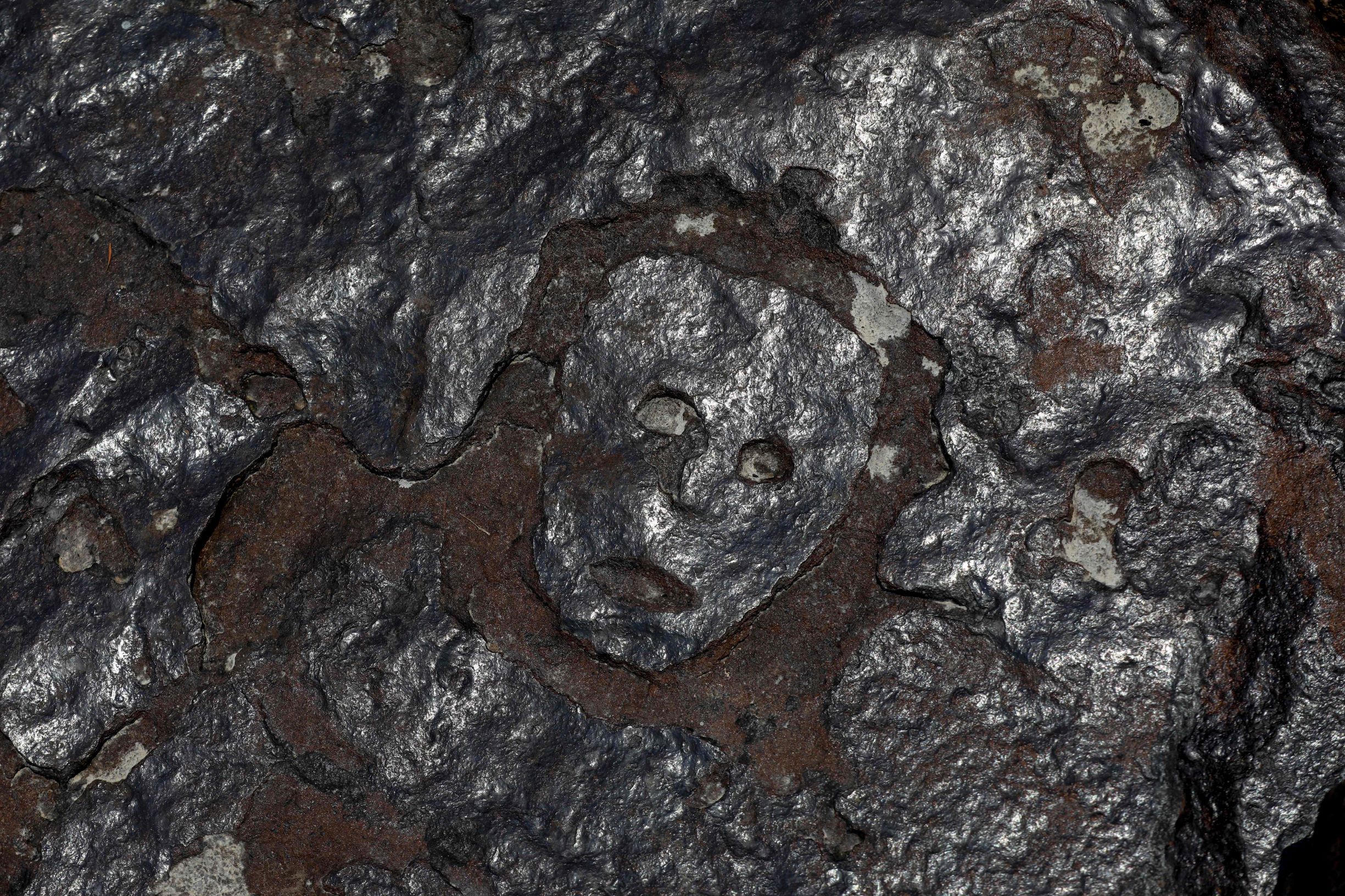 جفاف أمازون يكشف نقوشا قديمة يعود تاريخها إلى 2000 عام 