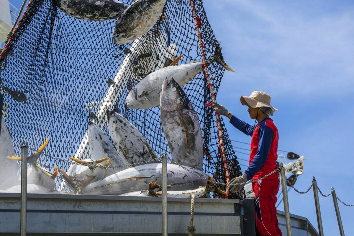 الصراع الصيني - الياباني على المأكولات البحرية يتحول إلى أروقة منظمة التجارة