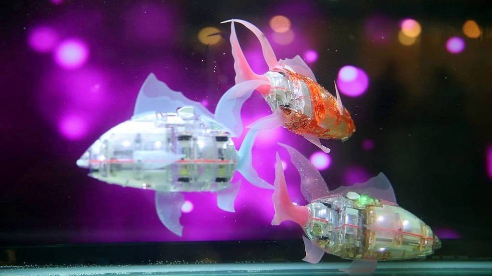 «جدة جنغل» .. حيوانات تتجاوز أعمارها 150 عاما