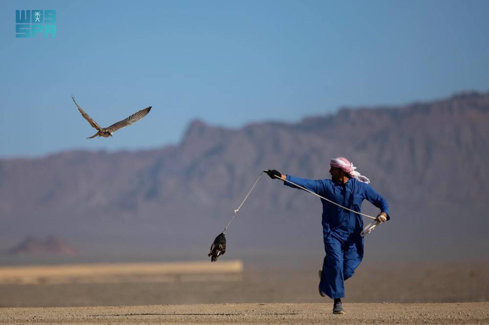 كأس العلا للصقور