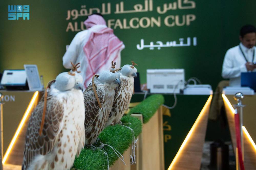 تسجيل الصقور في مسابقة المزاين بكأس العلا على مدى 3 أيام