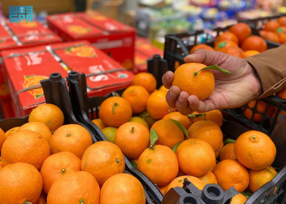 الحمضيات .. فاكهة الشتاء تغزو الأسواق