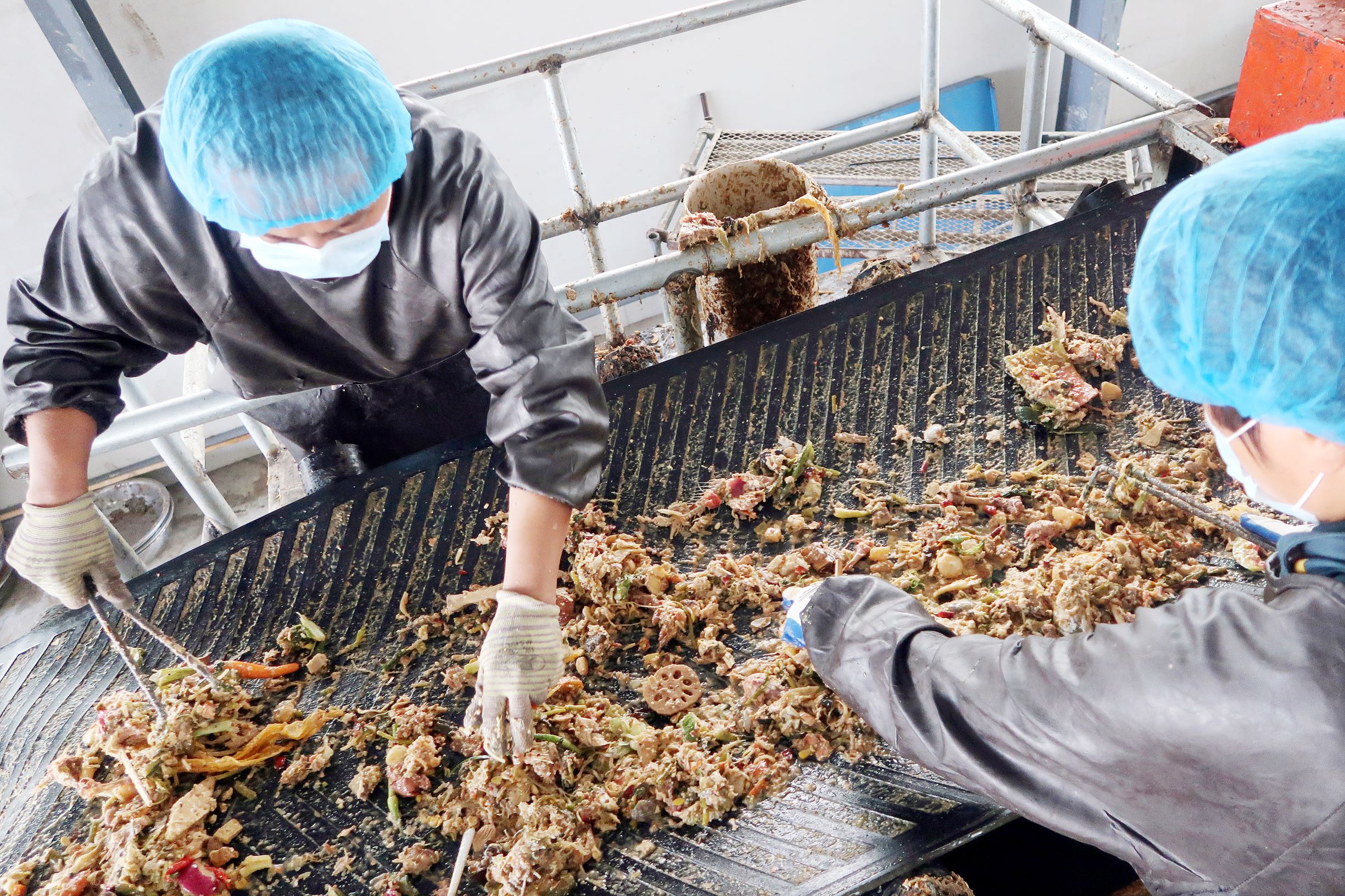 التشجيع على إعادة تدوير الأغذية المهدرة بشرط ألا تشكل تهديدا لسلامة منتجات المتجر. "رويترز"