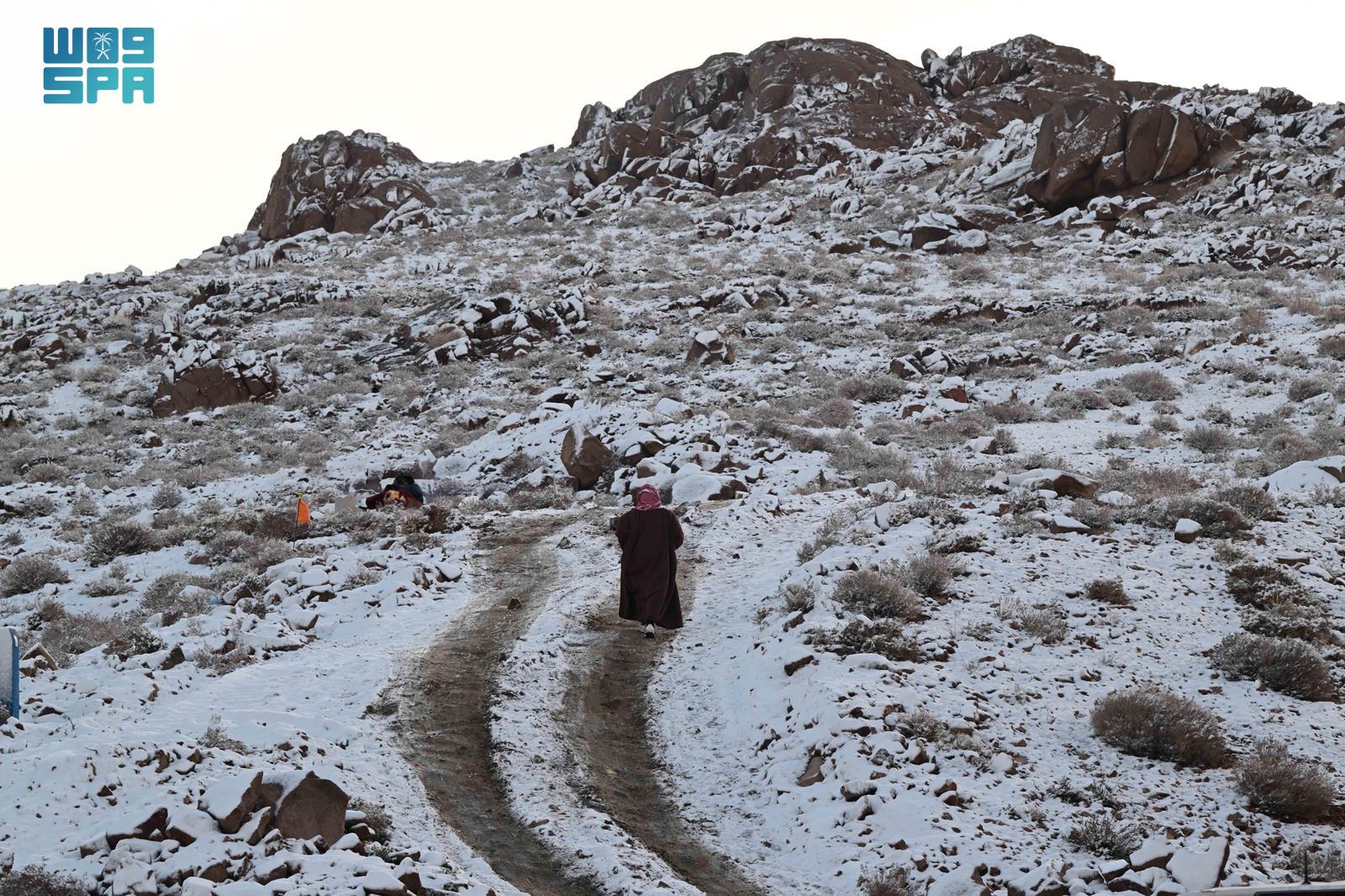 جبال اللوز في منطقة تبوك تكتسي اللون الأبيض 