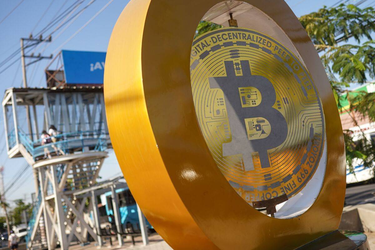 شعار عملة بتكوين المشفرة. "بلومبرغ"