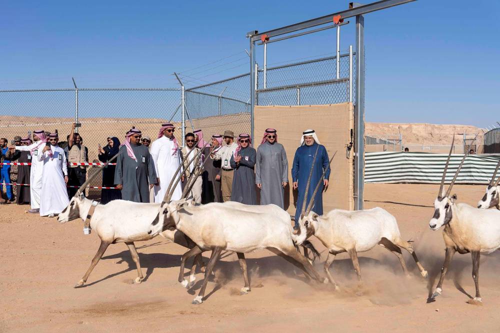 البيانات غيرت قواعد اللعبة .. 345 مليار دولار قيمة الصناعة البحرية الرقمية في 2030