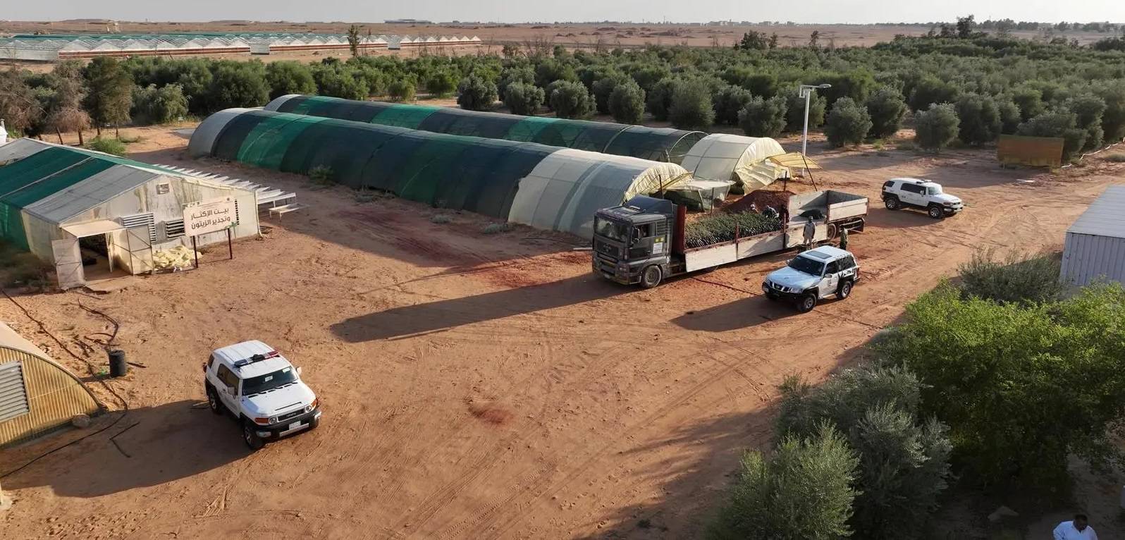 يعتزم المركز الوطني لتنمية الحياة الفطرية تنفيذ ثلاث مبادرات رئيسة تنطلق من "السعودية الخضراء". واس