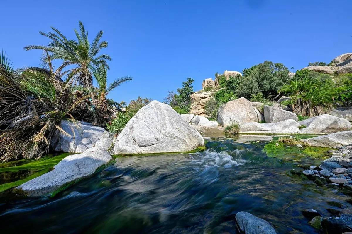 يقدر معدل سحب المياه الجوفية في السعودية بنحو 20 مليار متر مكعب سنويا. "واس"