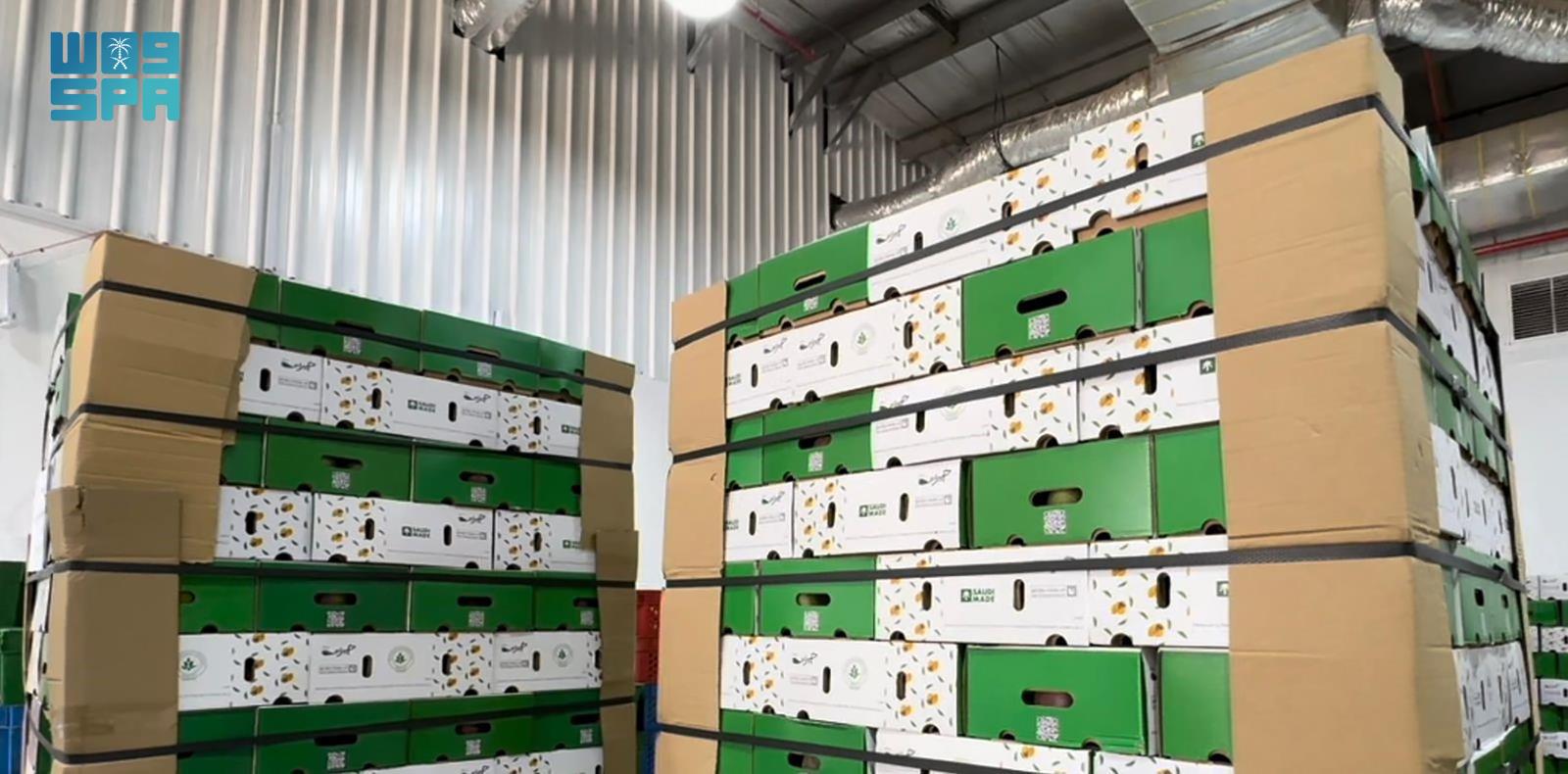 جازان تصدر أول شحنة مانجو من أراضيها إلى الأردن