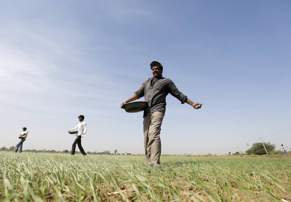 يتوقع أن يرتفع الإنتاج العالمي من البوتاسيوم إلى 69 مليون طن في عام 2025. "رويترز"