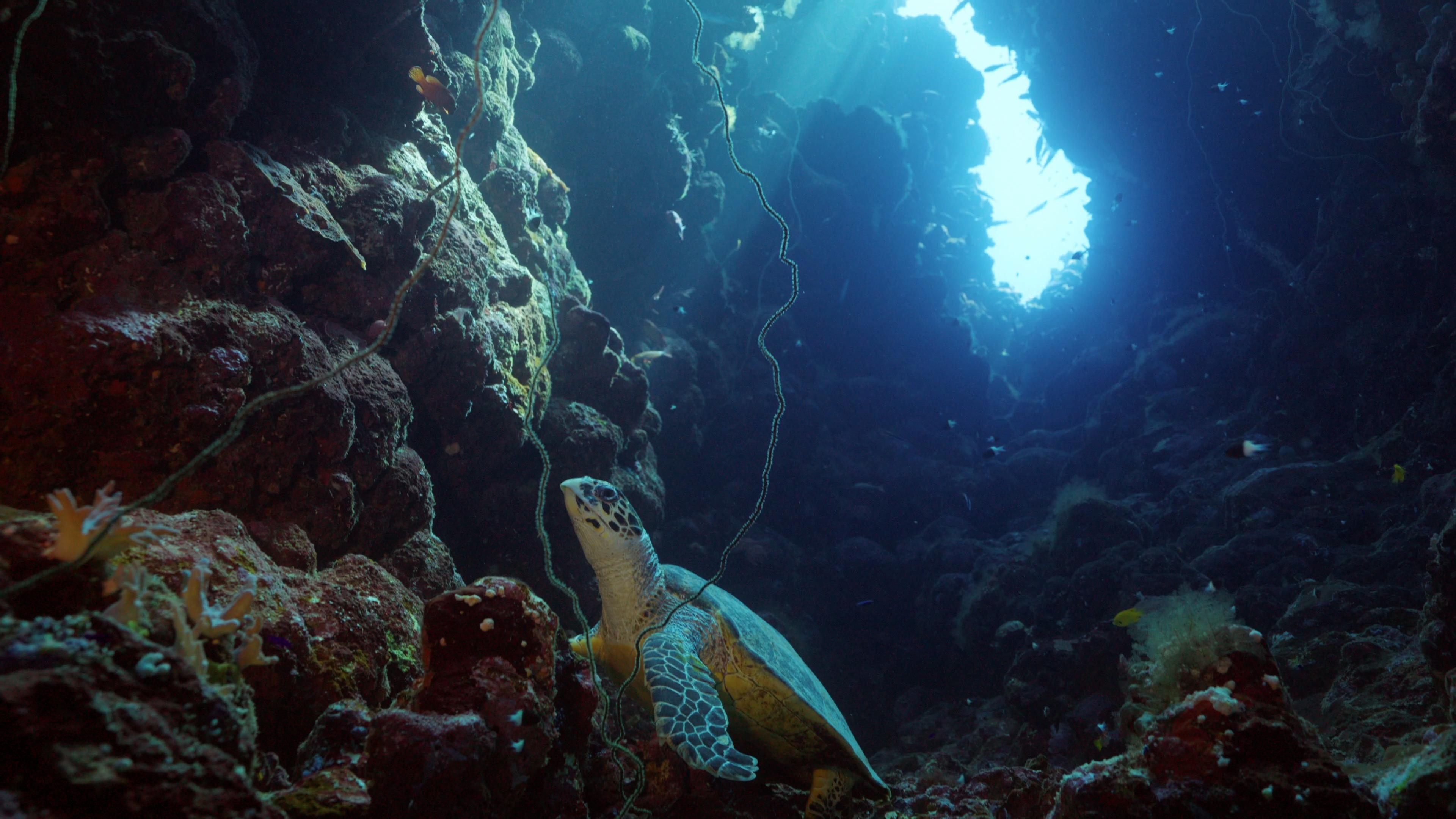 مبادرة "كنوز السعودية" تحصد 11 جائزة في مسابقتي "فيدي" و"فيقا" الدوليتين